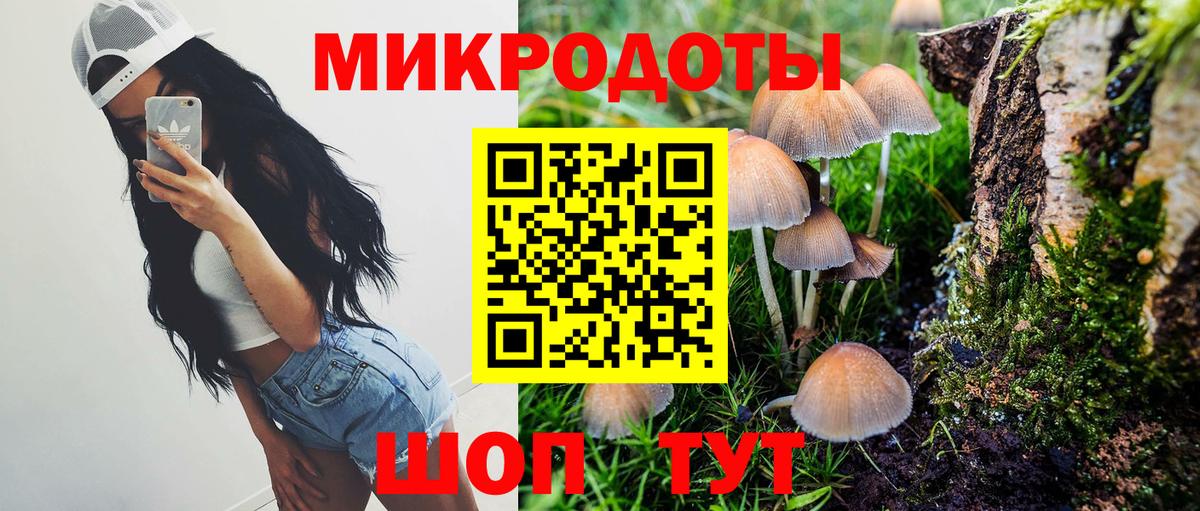Галлюциногенные грибы GOLDEN TEACHER  Вход с VPN  цена наркотик  Знаменск 